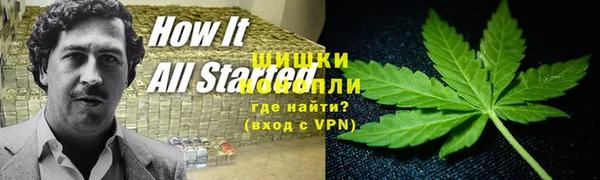 кокс Елизово