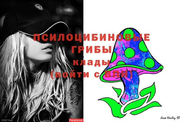 кокс Елизово