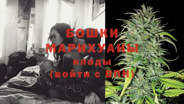 скорость Ельня