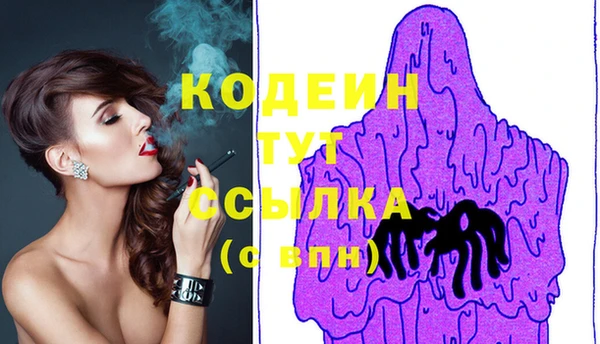 скорость Ельня