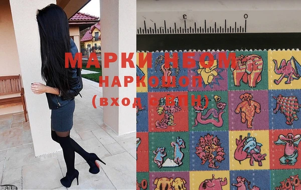 скорость Ельня