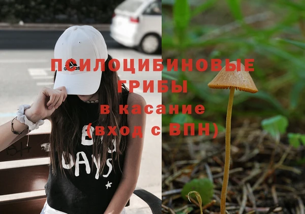 скорость Ельня